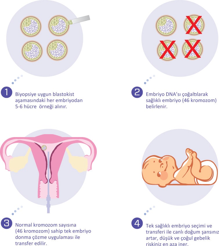 Tüp Bebekte Genetik İşlemler