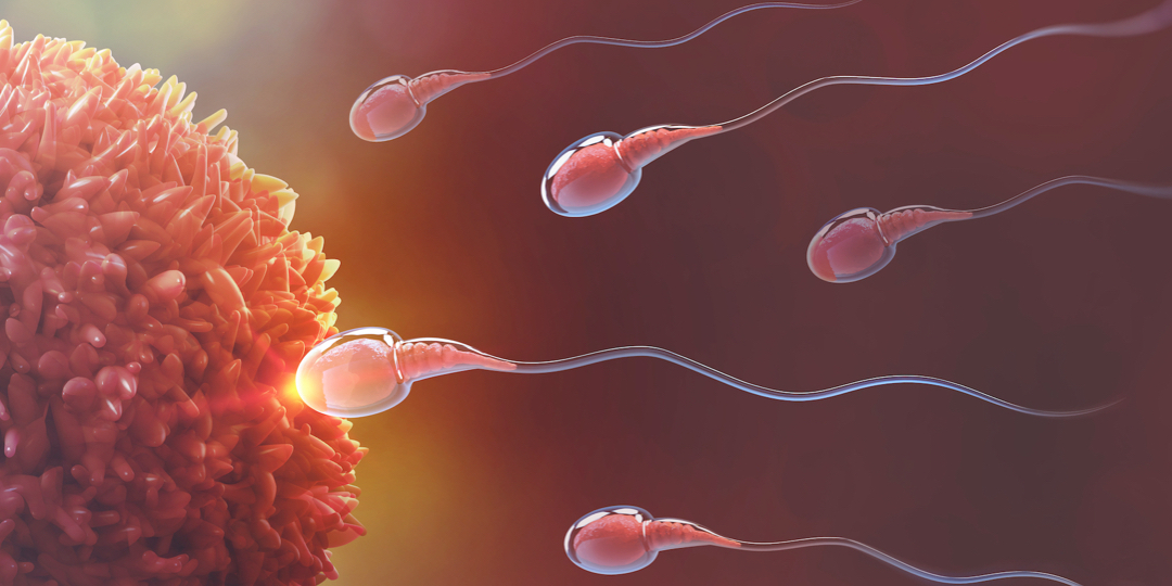 Sperm Bozuklukları
