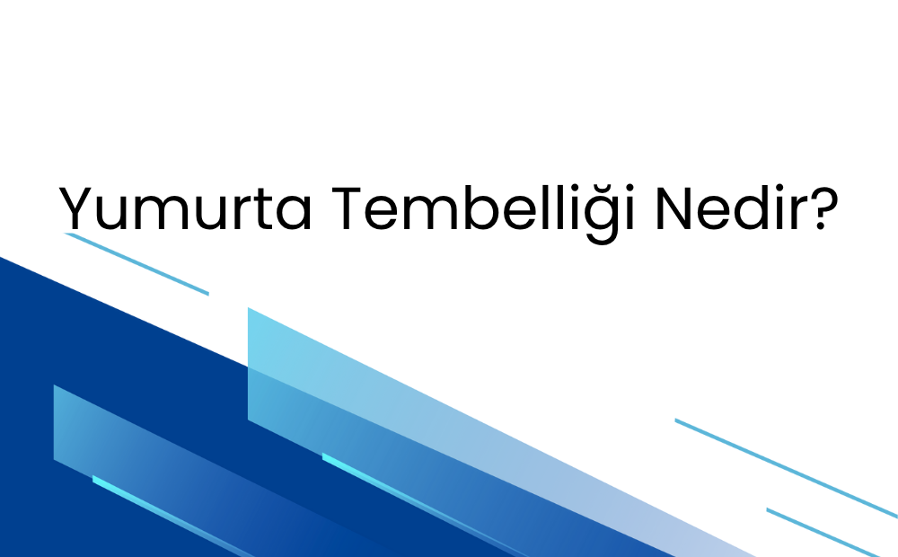 Yumurta Tembelliği Nedir?